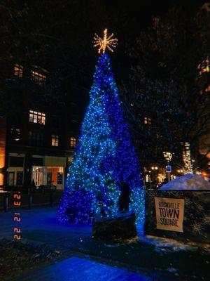 The Christmas tree by the rink