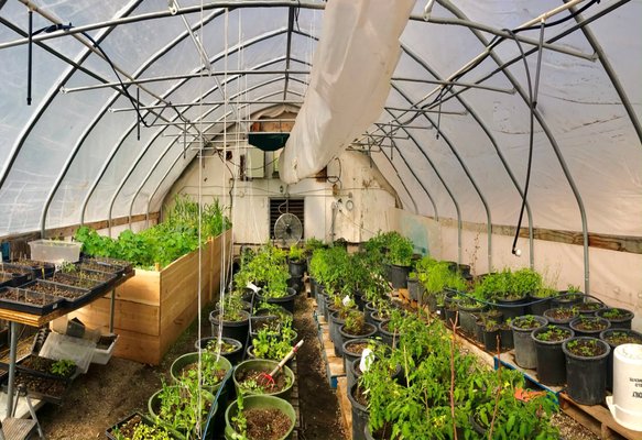 Chef's greenhouse