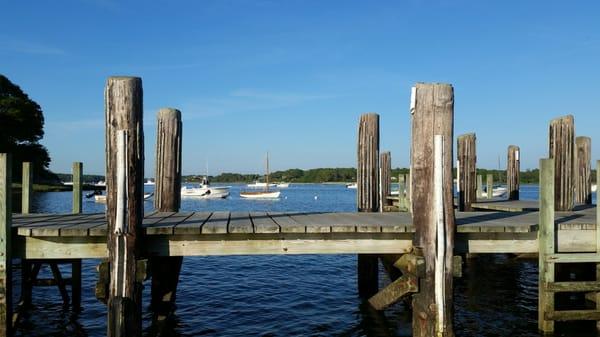 Cotuit Harbor Tours