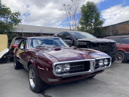 68 Firebird