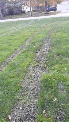 New soil and grass, still soft and wet. Rutz and broken grass/soil from wheels.