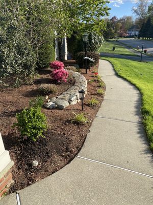 another photo of the walk way clean up, trimming, and plants