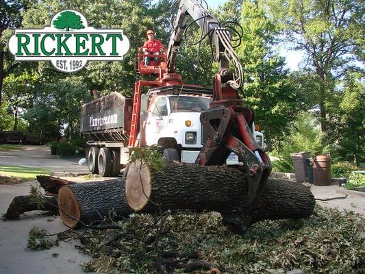 Tulsa Tree Removal & Trimming