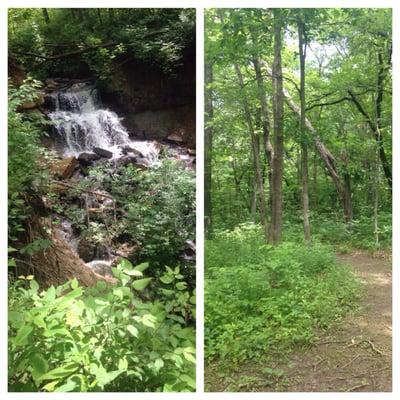 A few views from a hike on the Kelley Branch trail earlier this year.