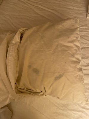 Moldy pillows