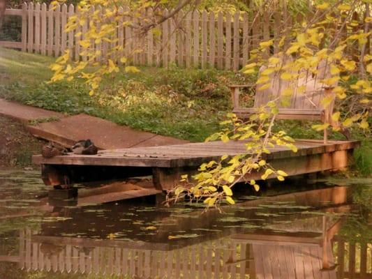 Migrating mallards snoozing  on the dock.