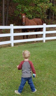 Make new friends on our farm!