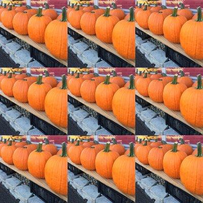 Pumpkins