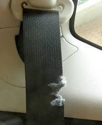 seat belt cut