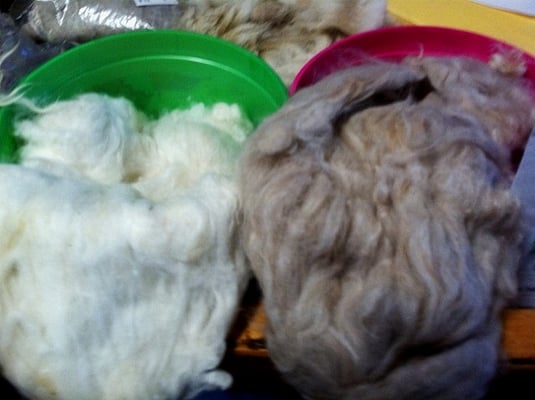 Angora Rabbit Rovings