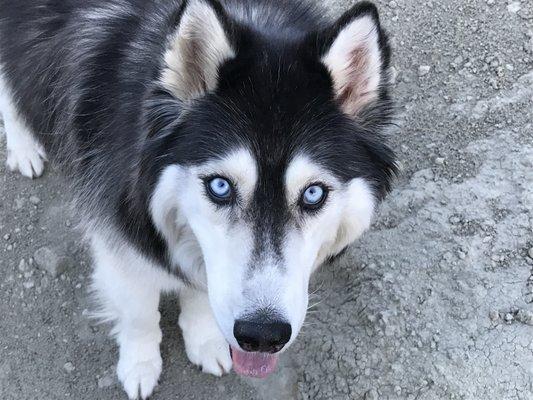 Juneau just one day after getting treatment at Kokopeli.