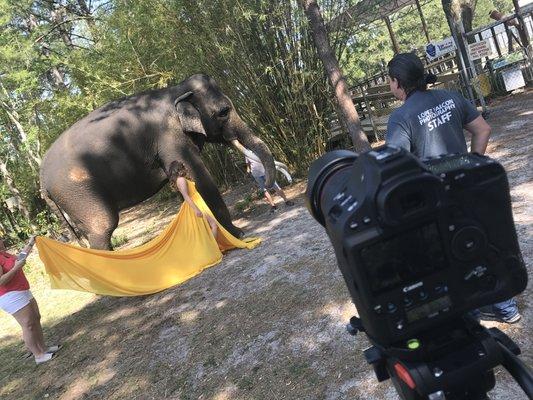 Working alongside our friends over at Lopez Falcón Photography capturing some elephant shots with our 15ra...