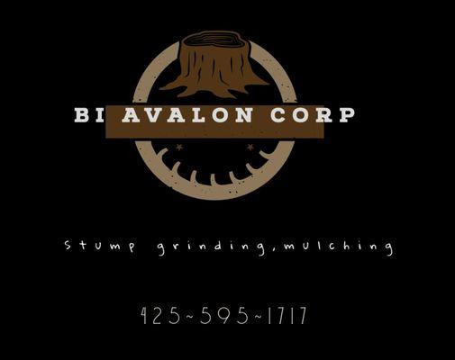 BI Avalon A Corp