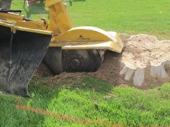 Stump Grinding