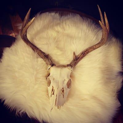 New York deer skull, genuine Australian sheepskin, antique leatherback chair