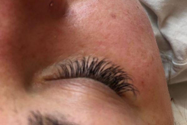 Eyelashes by cindy