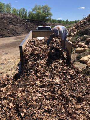 Big load of yard waste we removed out of Swartz Creek the other day. It was mostly leaf's, like 20 yards worth!