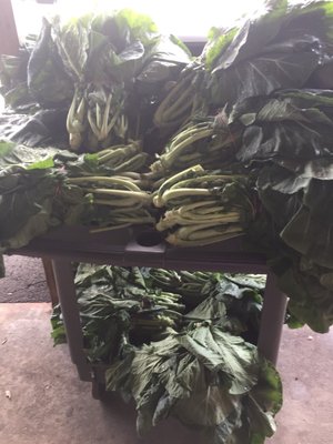 Fresh collards