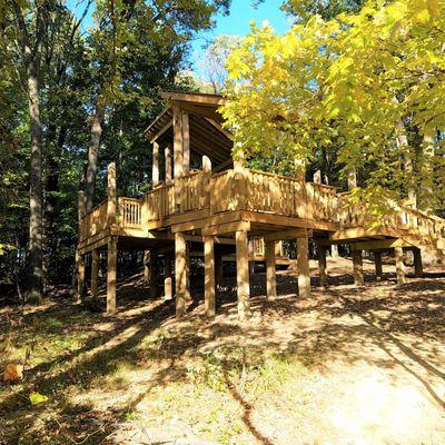 Tree Fort