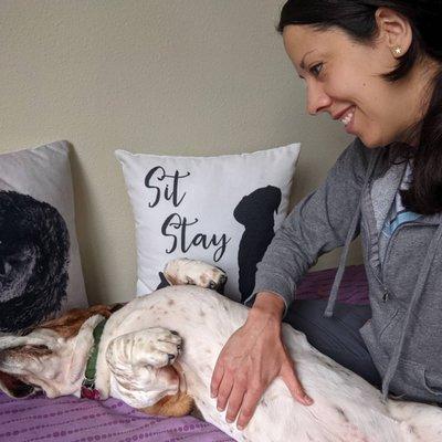 A basset hound lies on her back on a purple bed, while I massage her abdomen.