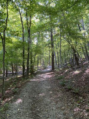 Yahoola Creek Park