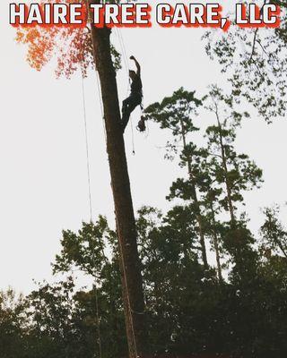 A lovely day to climb