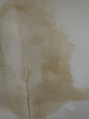 Ceiling from leaking roof