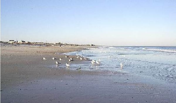 Amelia Island has wide uncrowded beaches.