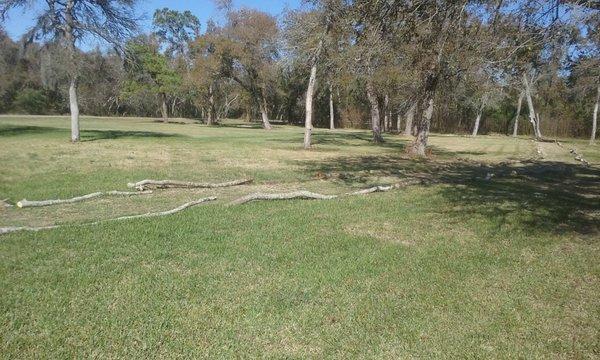 Our shaded tent sites