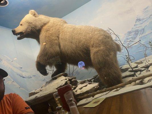 A cool taxidermy bear display.