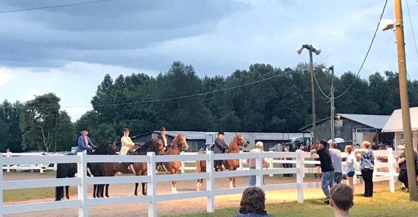 Equestrian show