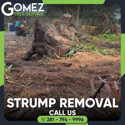 stump removal prevents the tree you removed from growing back by the roots you left behind.