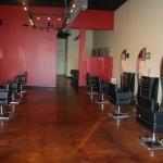 David Troy salon