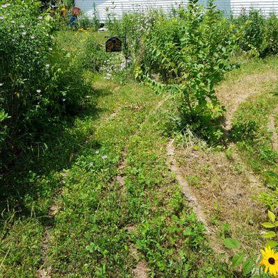 Some lawn care and shrub removal would make the park much more "walk friendly"