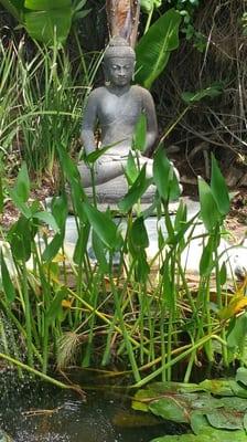 Buda was very heavy to move but know complements pond gives you a zen look.