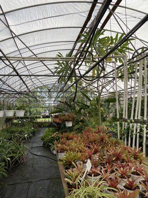 Greenhouse