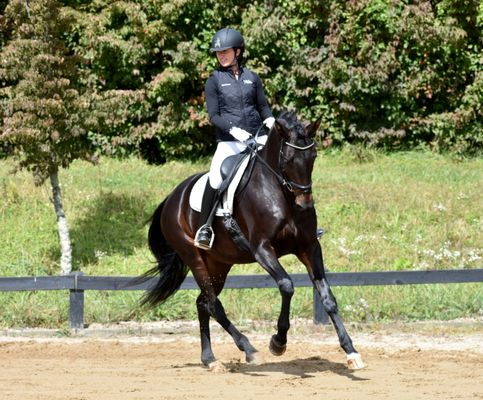 Lovingston Dressage