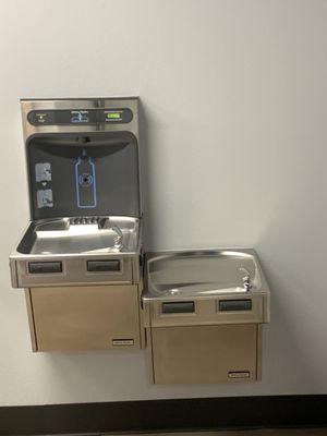 Water fountain with option to refill bottles