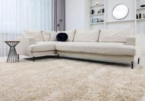 Residential Carpet Cleaning Services