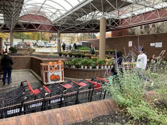 Carts in front of entrance