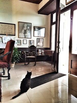 The hotel has a couple sweet cats that roam the lobby and outdoors.