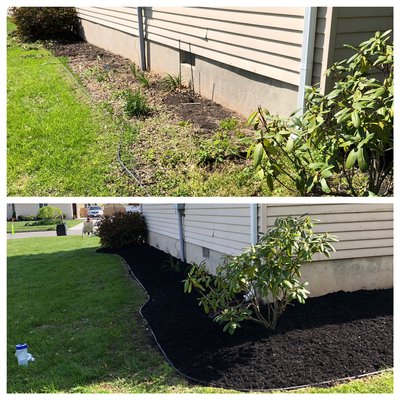 Cleanup and mulching