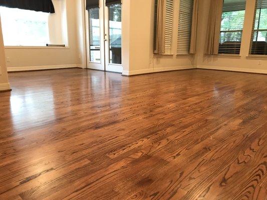 Cleaned Wood Floor