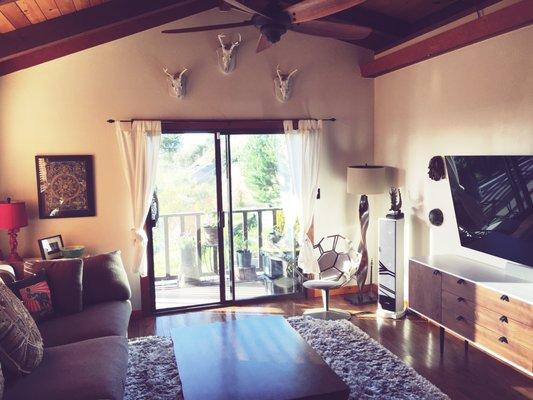 The ladies moved the couch on the left to clean even behind and underneath it and then super-cleaned this fluffy fuzzy vacuum killing rug!