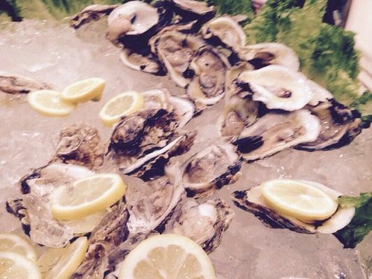 Raw oysters.