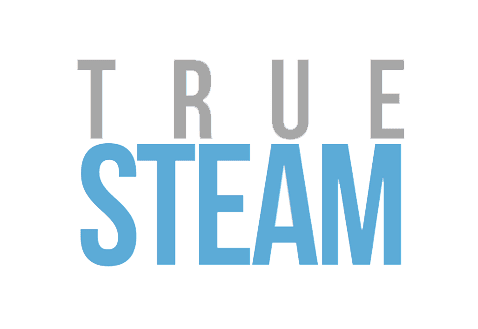 True Steam Carpet Cleaning