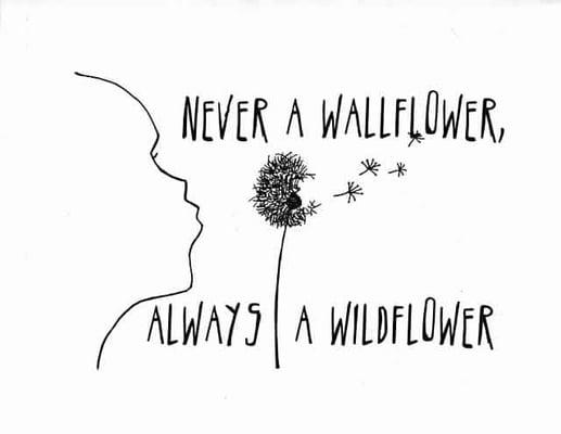 Always a WILDFLOWER!