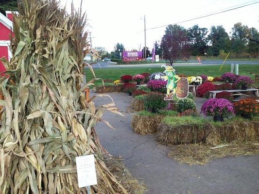 Fall decorations at Pickle Barrel