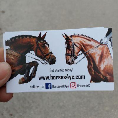 Join us to buy and sell horses horses4yc.com