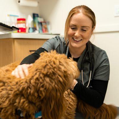 Our veterinarians are highly trained, compassionate and knowledgeable.